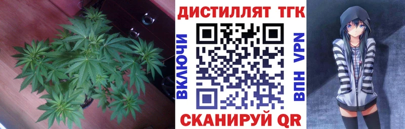 ТГК гашишное масло Гаврилов Посад