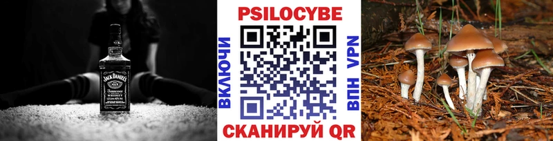 Галлюциногенные грибы мухоморы  цены наркотик  Гаврилов Посад 