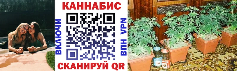 где можно купить   Гаврилов Посад  Бошки Шишки ГИДРОПОН 